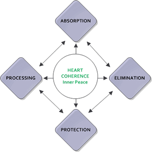 New Paradigm for Health Care